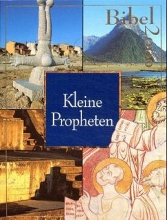 Kleine Propheten / Bibel 2000, 18 Bde. 14