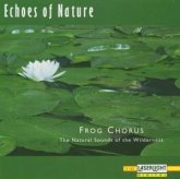 Echoes Of Nature-Frog Chorus