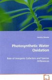 Photosynthetic Water Oxidation