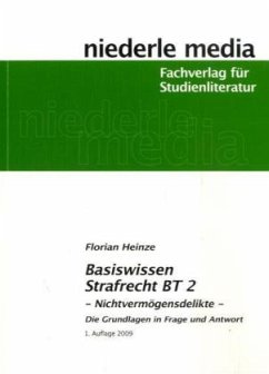 Basiswissen Strafrecht BT 2 - Nichtvermögensdelikte - Heinze, Florian