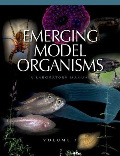 Cover Emerging Model Organisms: A Laboratory Manual, Volume 1