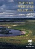 Statewide Wetlands Strategies