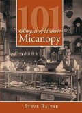 101 Glimpses of Historic Micanopy