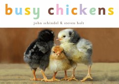 Busy Chickens - Schindel, John