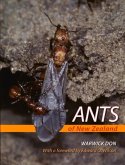 Ants of New Zealand