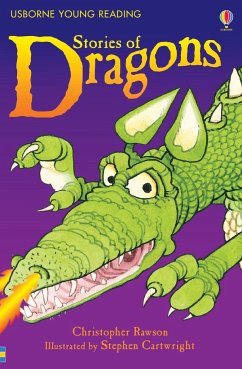 Stories of Dragons - Rawson, Christopher