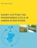 Short-cutting the Phosphorus Cycle in Urban Ecosystems