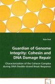 Guardian of Genome Integrity: Cohesin and DNA Damage Repair