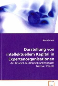 Darstellung von intellektuellem Kapital in Expertenorganisationen - Schantl, Georg