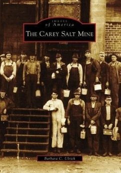 The Carey Salt Mine - Ulrich, Barbara C.