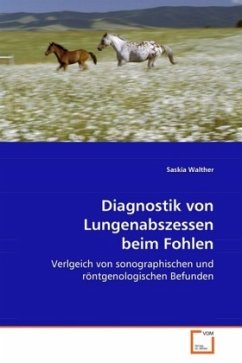 Diagnostik von Lungenabszessen beim Fohlen - Walther, Saskia