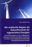 Die arabische Region als Zukunftsmarkt für regenerative Energien