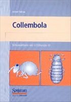 Süßwasserfauna von Mitteleuropa, Bd. 10: Collembola