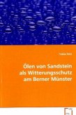 Ölen von Sandstein als Witterungsschutz am Berner Münster