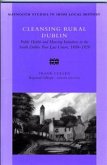 Cleansing Rural Dublin: Public Health and Housing Initiatives in the South Volume 40