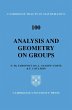 Analysis and Geometry on Groups - Bild 1