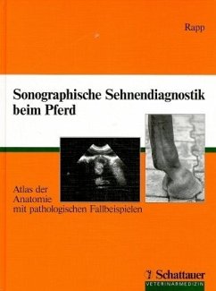 Sonographische Sehnendiagnostik beim Pferd - Rapp, Hans J.