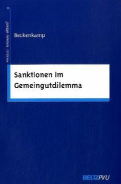 Cover Sanktionen im Gemeingutdilemma
