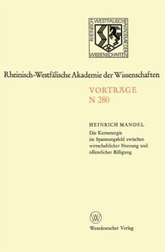 Die Kernenergie im Spannungsfeld zwischen wirtschaftlicher Nutzung und öffentlicher Billigung - Mandel, Heinrich