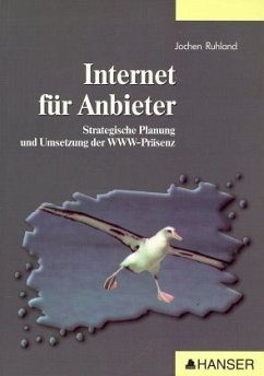 Internet für Anbieter