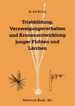 Triebbildung, Verzweigungsverhalten und Kronenentwicklung junger Fichten und Lärchen - Schill, Harald;Schütt, Peter