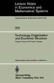 Technology, Organization and Economic Structure