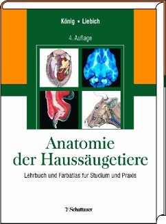 Anatomie der Haussäugetiere - Lehrbuch und Farbatlas für Studium und