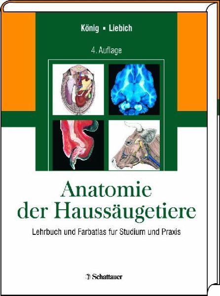 Anatomie der Haussäugetiere Lehrbuch und Farbatlas für Studium und Praxis von Anatomie der