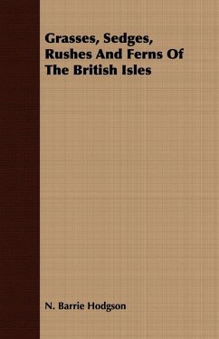 Grasses, Sedges, Rushes And Ferns Of The British Isles