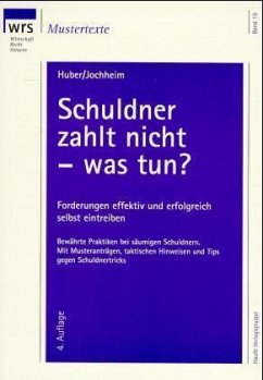 Schuldner zahlt nicht, was tun? - Huber, Günter