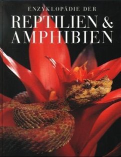 Enzyklopädie der Reptilien & Amphibien