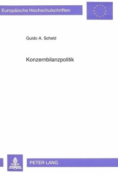 Konzernbilanzpolitik - Scheld, Guido