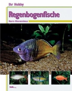 Regenbogenfische