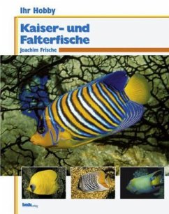 Kaiserfische und Falterfische - Frische, Joachim
