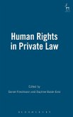 Human Rights in Private Law