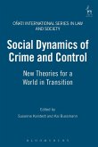 Social Dynamics of Crime and Control