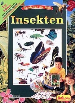 Insekten (Aufklappbares Panorama m. Sachbuch)