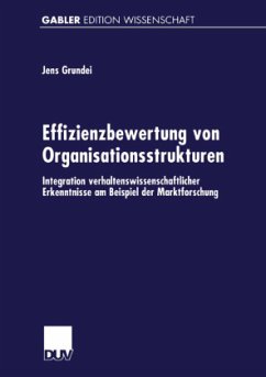 Effizienzbewertung von Organisationsstrukturen