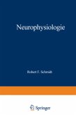 Neurophysiologie