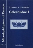 Gelechiidae I