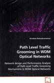 Path Level Traffic Grooming in WDM Optical Networks