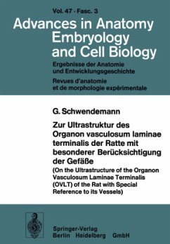 Zur Ultrastruktur des Organon vasculosum laminae terminalis der Ratte mit besonderer Berücksichtigung der Gefäße - Schwendemann, G.