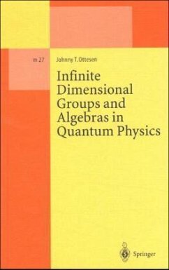 Infinite Dimensional Groups and Algebra in Quantum Physics