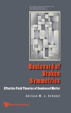 BOULEVARD OF BROKEN SYMMETRIES - Adriaan M J Schakel