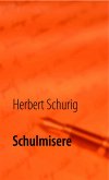 Schulmisere
