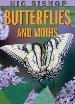 Nic Bishop: Butterflies and Moths - Bishop, Nic
