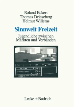 Sinnwelt Freizeit - Eckert, Roland; Drieseberg, Thomas J.; Willems, Helmut
