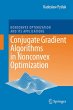 Conjugate Gradient Algorithms in... - Bild 1