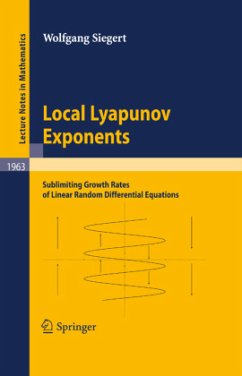 Local Lyapunov Exponents - Siegert, Wolfgang