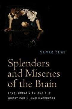 Splendors and Miseries of the Brain - Zeki, Semir